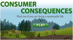 Consumer Consequences Game